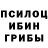 Галлюциногенные грибы мухоморы Barbara Verissimo