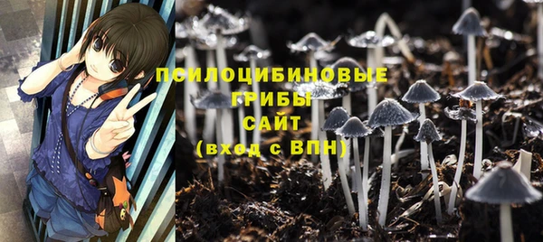 сатива Михайловск
