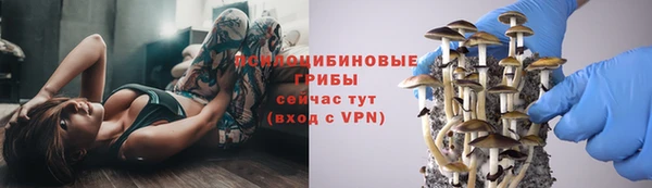 mix Абинск