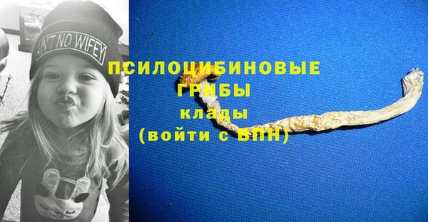 марки lsd Абаза