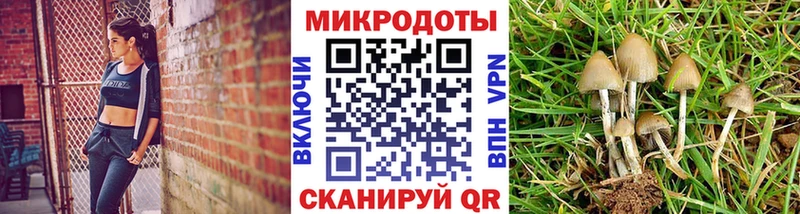 блэк спрут зеркало Юрга Галлюциногенные грибы ЛСД
