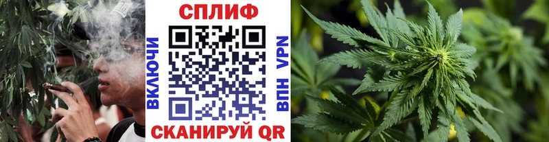 Конопля MAZAR  Юрга 
